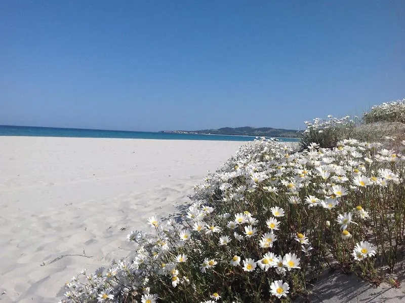 Arena Bianca Bed and Breakfast La Caletta 0*,  Italia